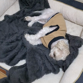 2022/10/22の画像