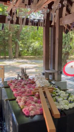 【7月7日、夏詣へ】 風鈴と花手水に癒された御朱印日記の記事動画