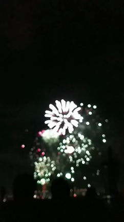 2019☆夏の記事動画