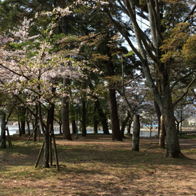 散歩の画像