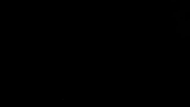 【コタキナバル観光】カワマングローブリバークルーズ体験レポの記事動画
