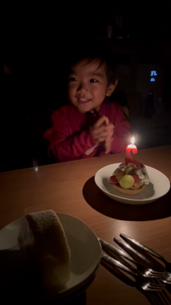 2歳になりましたの記事動画