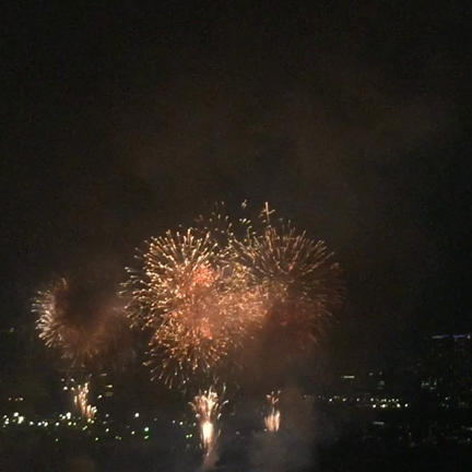 東京湾花火大会♡の記事動画