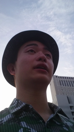 お散歩動画の記事動画