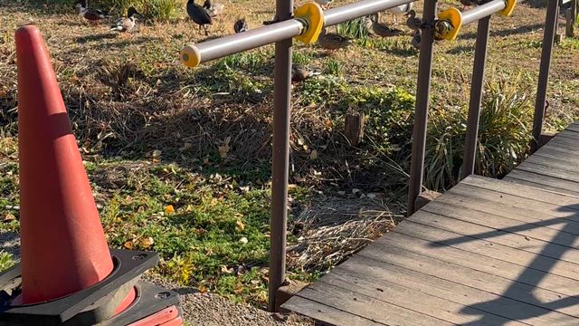 ちょっとひと息の記事動画