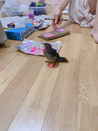 しし座の新月♡新しい始まりの記事動画