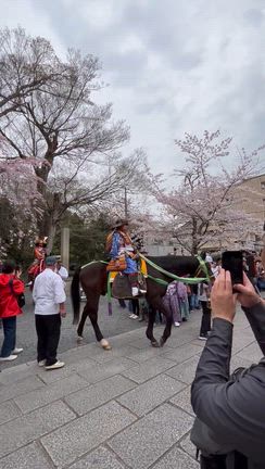 京都桜18✨下鴨神社〜平野神社桜花祭の記事動画