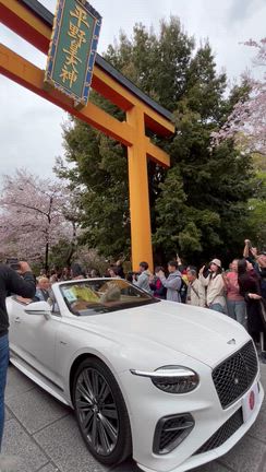 京都桜18✨下鴨神社〜平野神社桜花祭の記事動画
