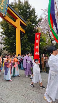 京都桜18✨下鴨神社〜平野神社桜花祭の記事動画