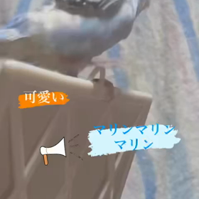 2022/05/25の画像