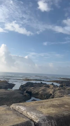 今年はじめての海の記事動画