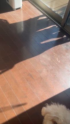 笑わせてくれる子の記事動画