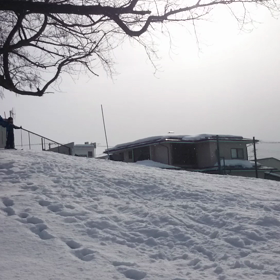小学校のお山の画像