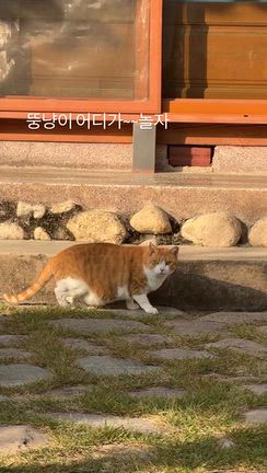 Dearジェジュン❤️貴重なお休みの日にもありがとうfrommとSNS❤️の記事動画