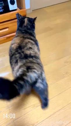 思い出の記事動画