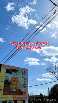町田尚子原画展の記事動画