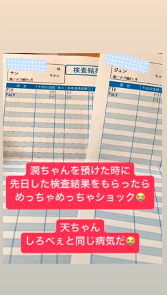 ショックの記事動画