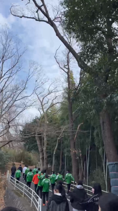 マラソン大会試走会@こどもの国の記事動画