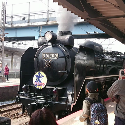 新幹線パート2(写真は汽車やのに)の記事動画