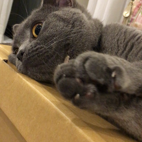 タラちゃんの画像