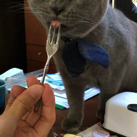 タラちゃんの画像
