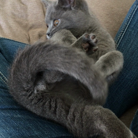 タラちゃん遊びの画像