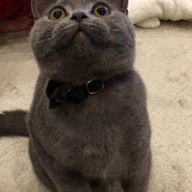 タラちゃんの画像