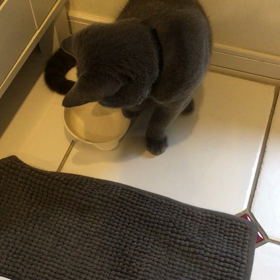 タラちゃんの画像