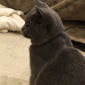 タラちゃんの画像