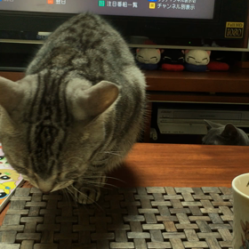 銀ダラの画像