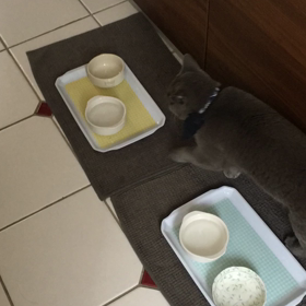 タラちゃんの画像
