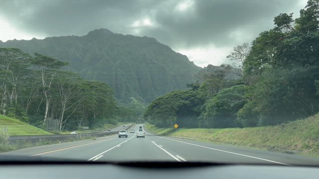 ハワイで年越し2025【42】365をチェック☺︎の記事動画