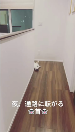 夜中の通路に転がる「首」の記事動画