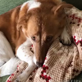 私とお義父さんの10年間その2の画像