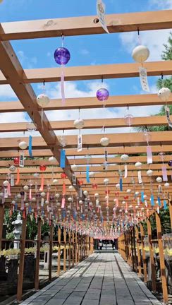 元気にやっています!!の記事動画