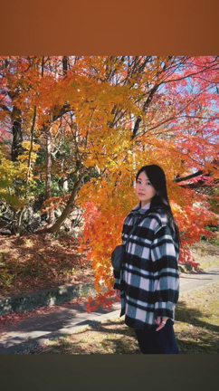 過ぎゆく秋の記事動画