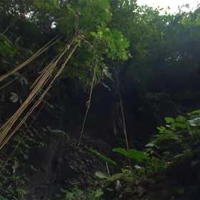 シンフォニック(^｡^)の画像