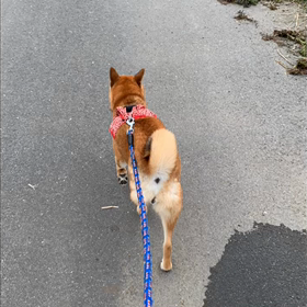 ふざけた。の画像