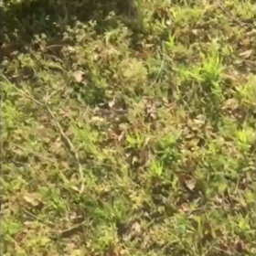 ちょんこのPVみたいwwの画像