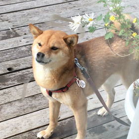 2018年なったー☺︎の画像