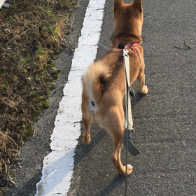 ちょん。の画像