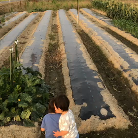 甥っ子に会いたい病の画像