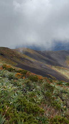 おつかれ3連休。の記事動画