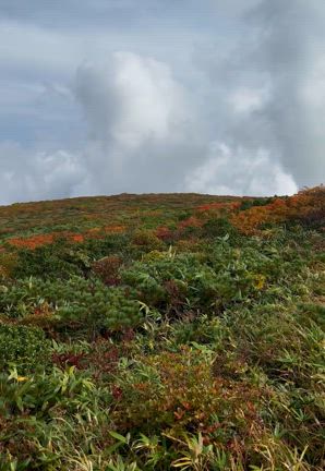 小さい秋見つけた登山 と じゃが豚しょうが煮。の記事動画
