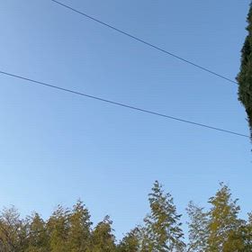 通勤前のひとときの画像