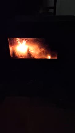 ★冬の癒し時間の記事動画