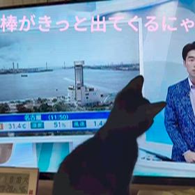 自宅がアトリエになった場合の画像