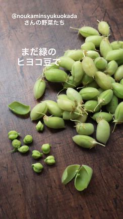 緑色のひよこ豆で2026の記事動画
