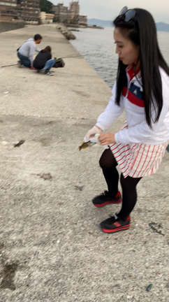 Enjoy Fshing＠淡路島の記事動画