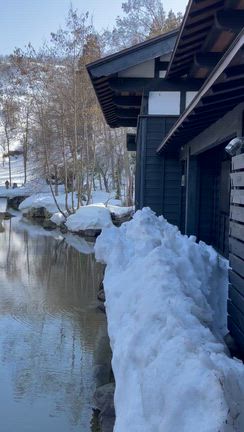 雪国に4日間滞在してきました♪の記事動画